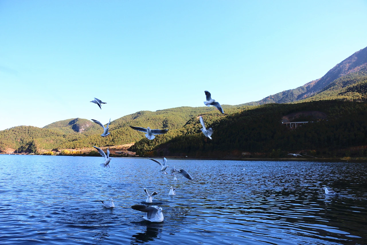 大理洱海-丽江-玉龙雪山-泸沽湖-昆明翠湖高清图片插图8