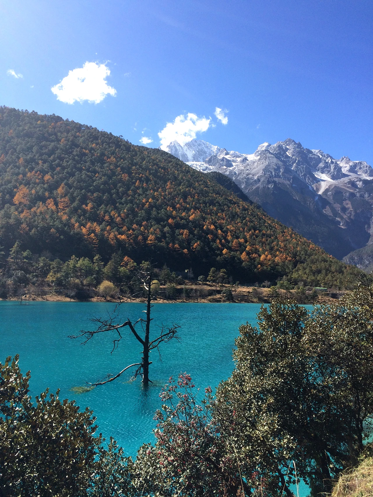 大理洱海-丽江-玉龙雪山-泸沽湖-昆明翠湖高清图片插图27